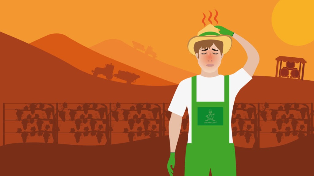 Protezione dal Calore Agricoltura Protezione dal Calore Agricoltura